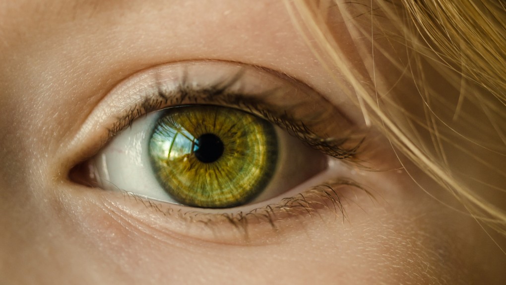 Zielony kolor oczu